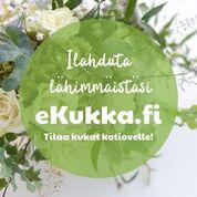 Martinlaakson Kukka-aitta Martinlaakson Kukka-aitta