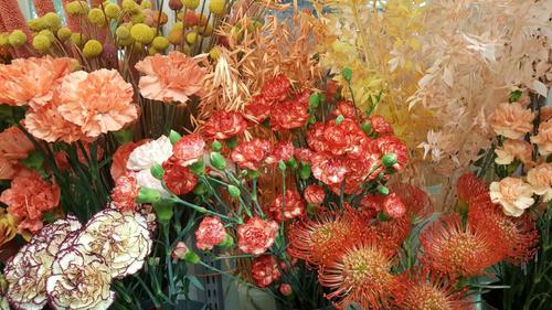 Martinlaakson Kukka-aitta Martinlaakson Kukka-aitta