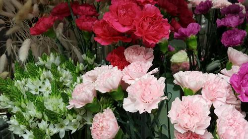 Martinlaakson Kukka-aitta Martinlaakson Kukka-aitta